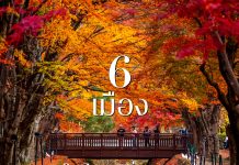 6 เมืองใบไม้เปลี่ยนสีใกล้โตเกียว Japan,Tokyo