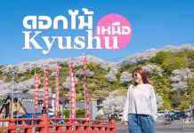 7 เมืองห้ามพลาดภูมิภาคคิวชู(เหนือ) kyushu , japan